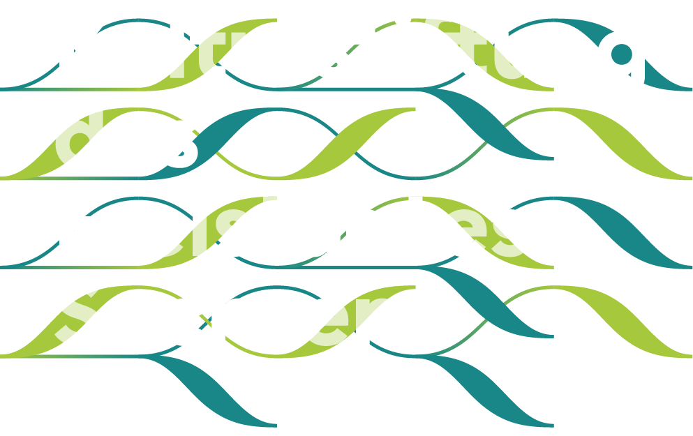 KDFS_Logo_2020_RGB-NEG | S&auml;chsische Bl&auml;serphilharmonie - Programme - Schlosskonzerte